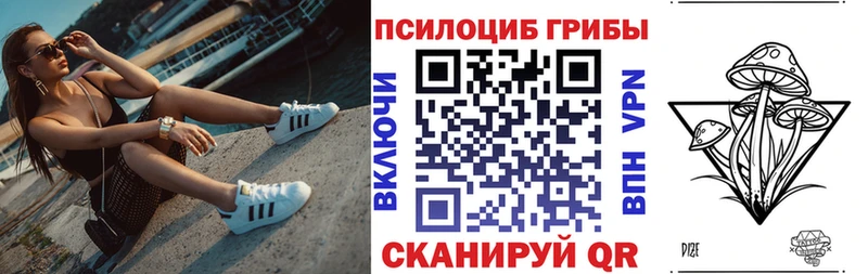 Галлюциногенные грибы Cubensis купить наркотики цена Арск